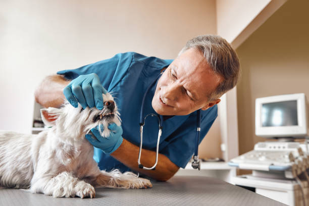 Best Emergency Tooth Extraction  in Tuckahoe, VA
